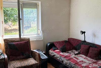 Casă cu 3 camere în Vulcan - 8