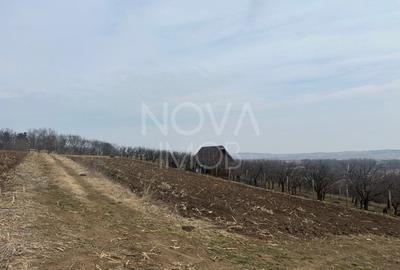 Teren de vanzare in Ocna Sibiului - Locatie premium langa lacurile sarate - 2