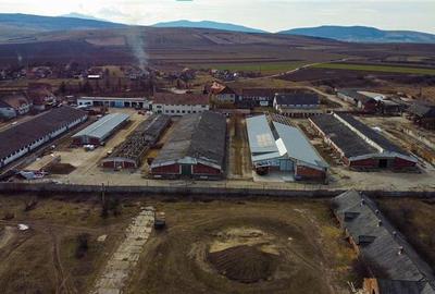 FILM! Complex agrozootehnic cu traditie, echipat + pretios potential multiplu - 51