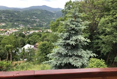 Casă cu 4 camere cu Teren 1350 Mp în Central - 4