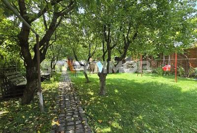 Pensiune 9 camere Rasnov - 8