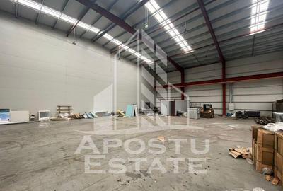 Hala 600 mp constructie noua Sacalaz - 4