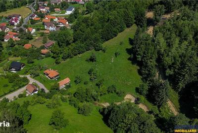 Casă cu 2 camere decomandat cu Teren 4300 Mp în Bran - 20