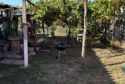 Casă cu 4 camere cu Teren 1150 Mp în Podari - 6