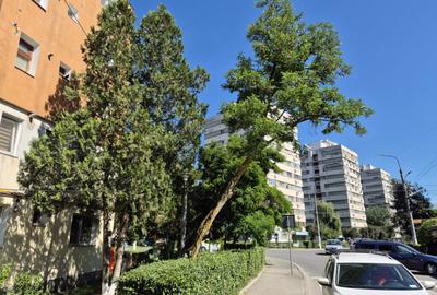 Spațiu comercial, de 36 mp, în 9 Mai - 4