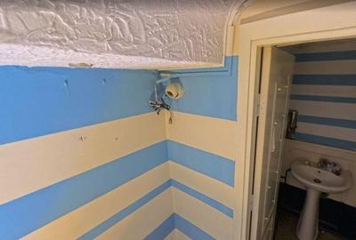 Centru Istoric parter 182 mp terasa trafic intens - 3