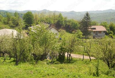 Teren în Toculești - 1