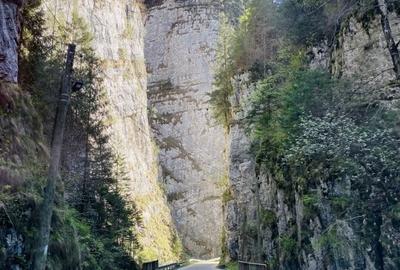 Teren panoramic insorit, utilitati, panta mica si padure, turism sau vacanta - 7