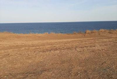 Teren de 1000 mp, în Limanu - 4