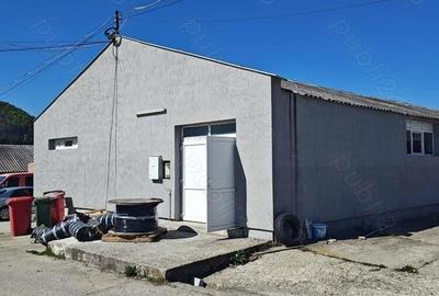 Spațiu comercial, de 773 mp, în Vlădesti - 1