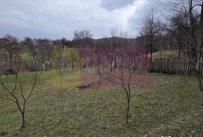 Teren în Lunca Mare - 1