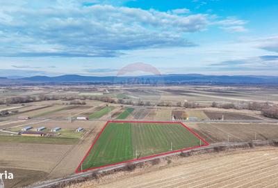 Spațiu comercial, în Lunca Calnicului - 5