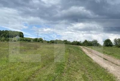 Teren de 500 mp, în Simeria - 2