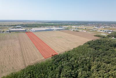 Teren Vanzare Intravilan Branesti - Investitie Zona Industriala Vis a Vis Makita - 11