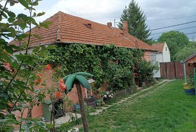 Casă cu 6 camere cu Teren 750 Mp în Simeria - 10