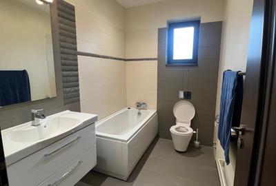 Dimitrie Leonida Metrou - 20