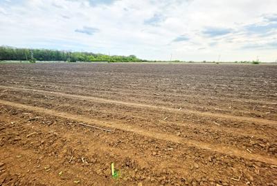 Teren Construcții intravilan de 7900 mp, în Bucov - 2