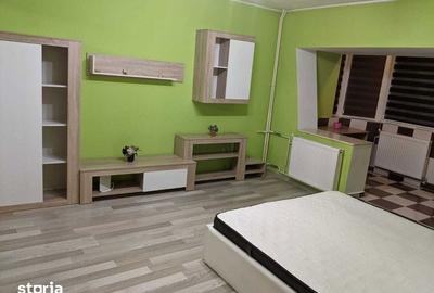 Garsonieră în Ostroveni - 3