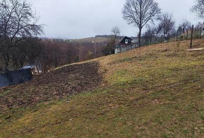 Casă cu Teren 4000 Mp în Hărman - 4