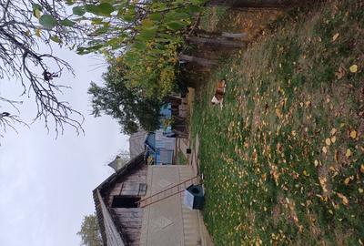 Casă cu 3 camere în Leorda - 9