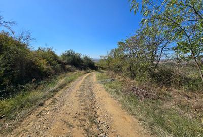 Teren extravilan de 8472 mp, în Ghioroc - 5