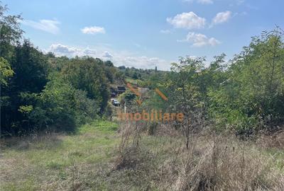 TEREN INTRAVILAN 2905 MP | DIOSIG - 4