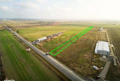 Teren de 11509 mp, în Saca - 3