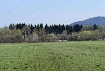 Teren de 7838 mp, în Zărnești - 11