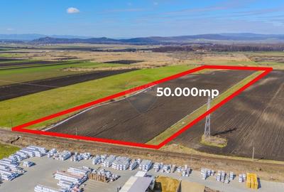 Teren Construcții extravilan de 50000 mp, în Prejmer - 1