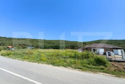 Teren de 4900 mp, în Hăpria - 3