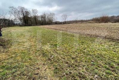 Spațiu comercial, în Gălănești - 3