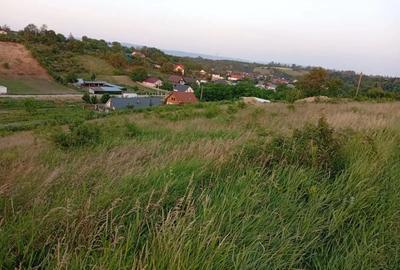 Teren de 2800 mp, în Măgura - 3