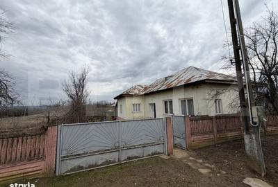 Casă cu 4 camere în Almăj - 2