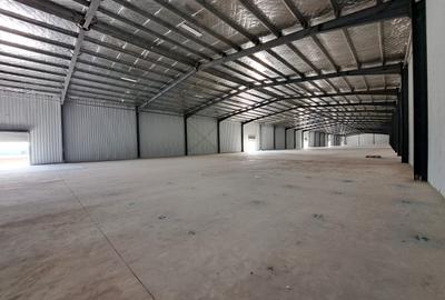 Hala 4200mp cu rampa in Afumati pentru depozitare Hala 4200mp cu rampa in Afumati pentru depozitare - 2