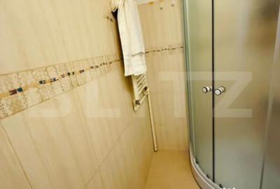 Apartament cu 2 camere decomandat, mobilat în 13 Decembrie - 10