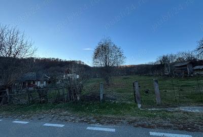 Teren de 1600 mp, în Mihăești - 5