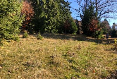 Teren agricol extravilan de 4900 mp, în 13 Decembrie - 6