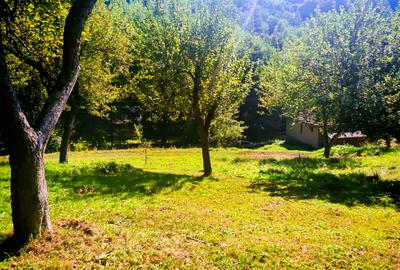 CASA si 2393 mp TEREN INTRAVILAN, Muntii Apuseni, NEGRENI - CLUJ la 1 km de E60 - 21