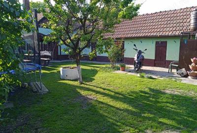 Casă cu 4 camere cu Teren 1200 Mp în Central - 3