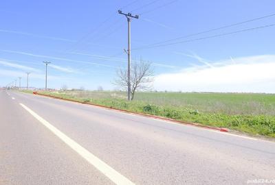 Teren în Dascălu - 2