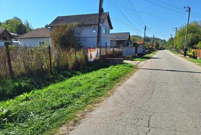 Teren Vacarea ,Mihaiesti , Arges - 5381 mp - 5