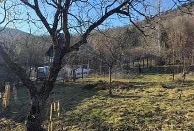 Casă cu Teren 1000 Mp în Firiza - 17