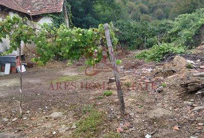 Casă cu 4 camere cu Canalizare în Ticvaniu Mare - 3