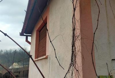 Casa de vanzare in localitatea Burzuc - 5