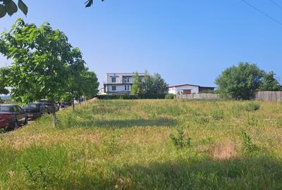 Teren Steaua de Mare 2 - 4