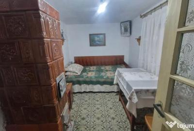 Casă cu 4 camere cu Canalizare în Mineri - 9