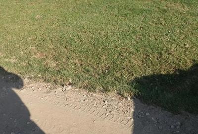 Teren de 533 mp, în Oarda - 1