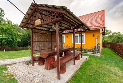 FILM&3D! Doua case cu:piscina,foisor,arbori decorativi,1.700mp teren,Lutoasa,Cov - 9