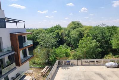 Apartament cu 3 camere decomandat, mobilat în Iancu Nicolae - 33