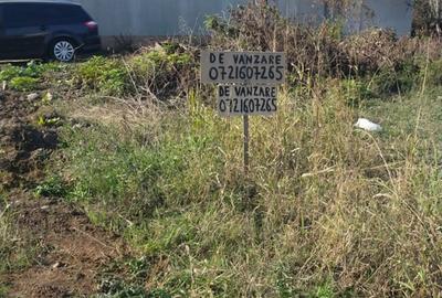 Teren în Dascălu - 1
